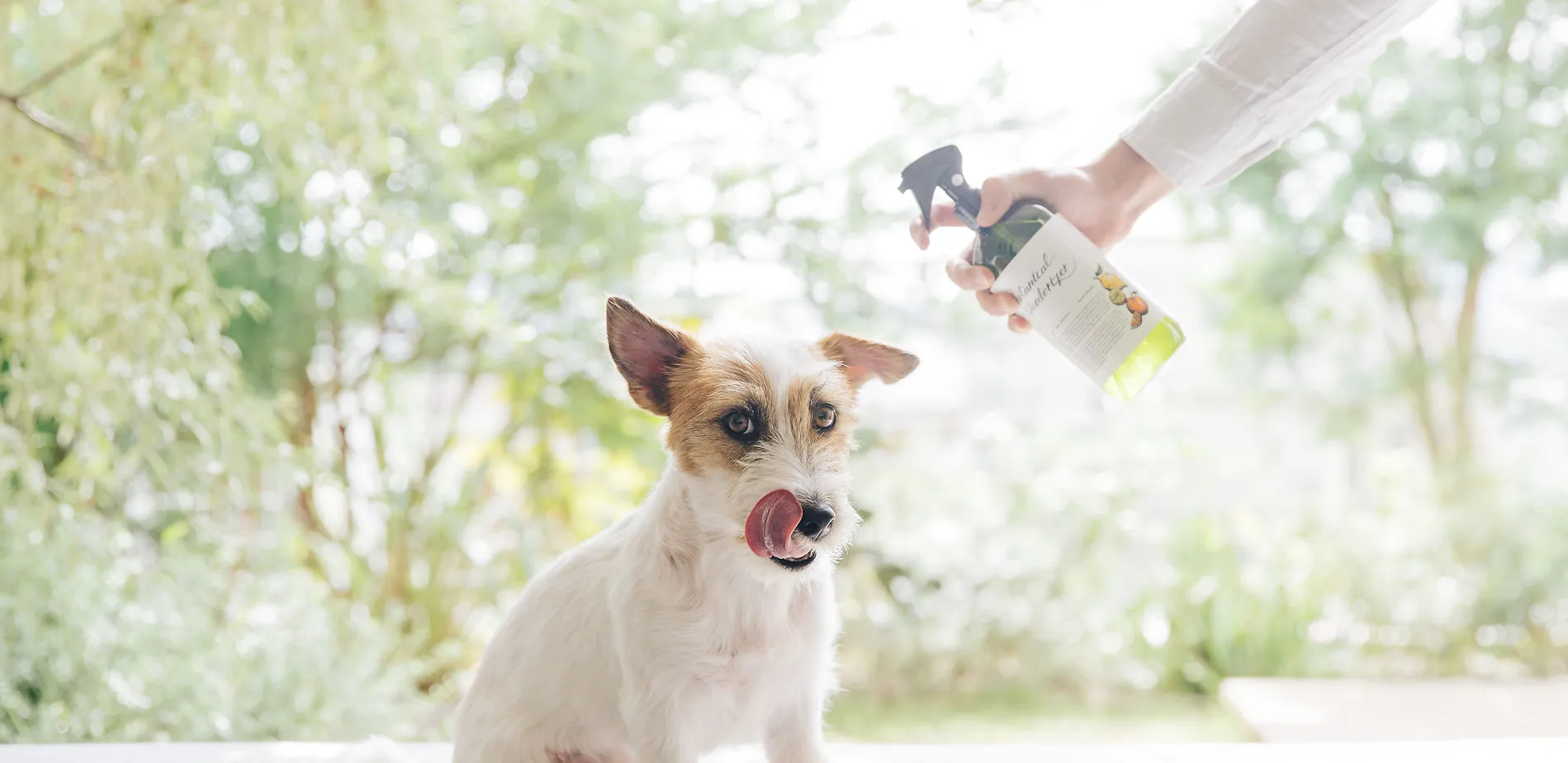 2024最新】犬用ドライシャンプーおすすめ18選！選び方や注意点などわかりやすく解説！ – The Choice