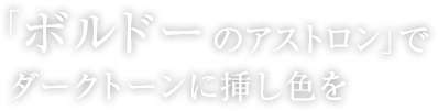 「ボルドーのアストロン」でダークトーンに挿し色を